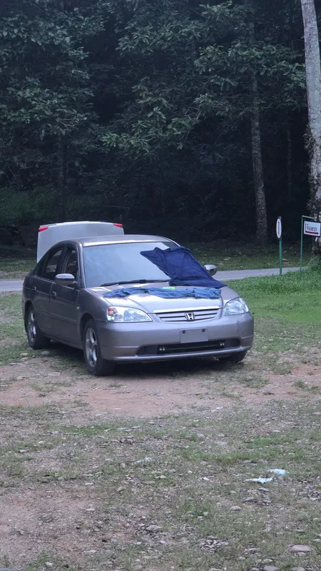 Licence plate กจ3069